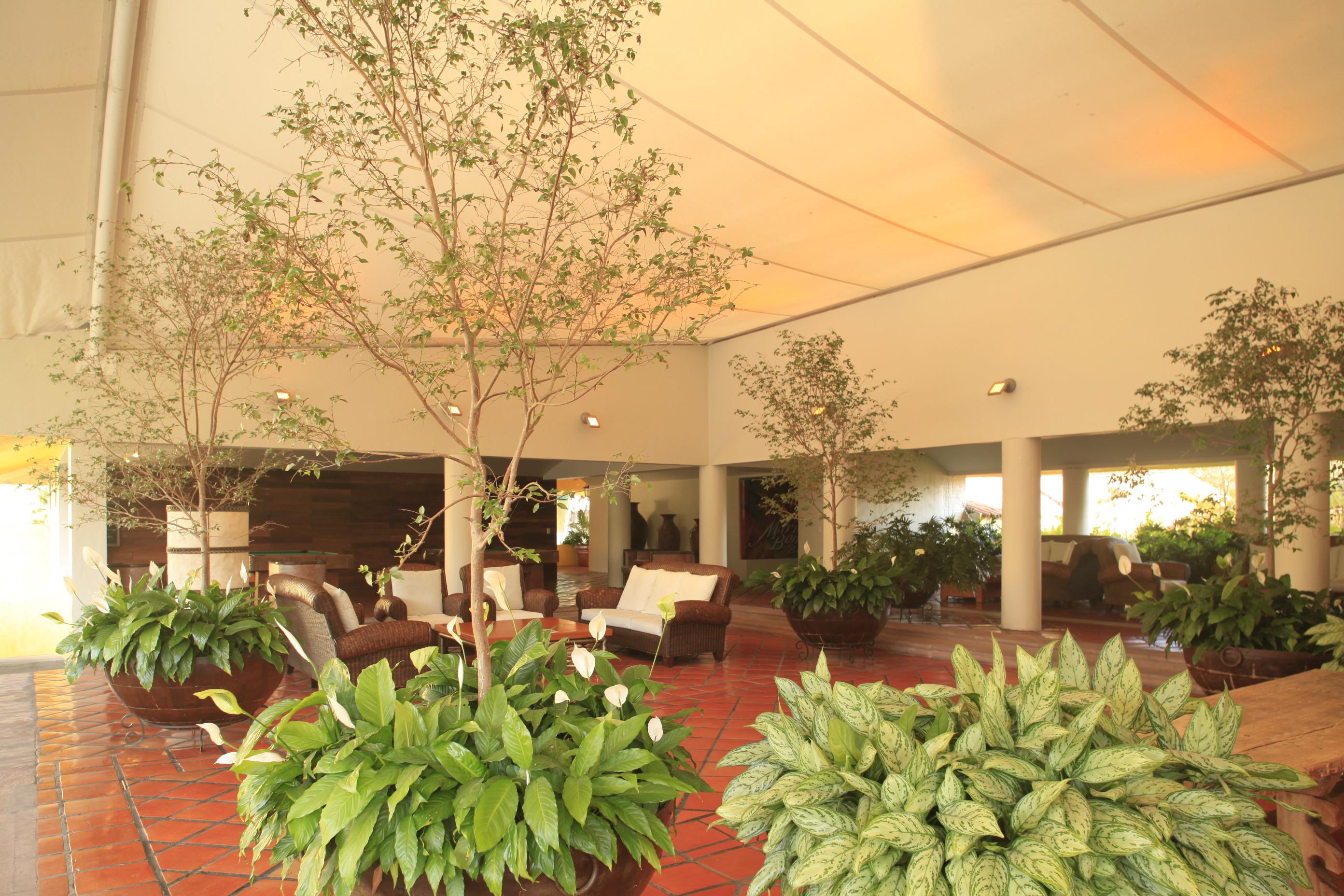 Real De Chapala Otel Ajijic Dış mekan fotoğraf