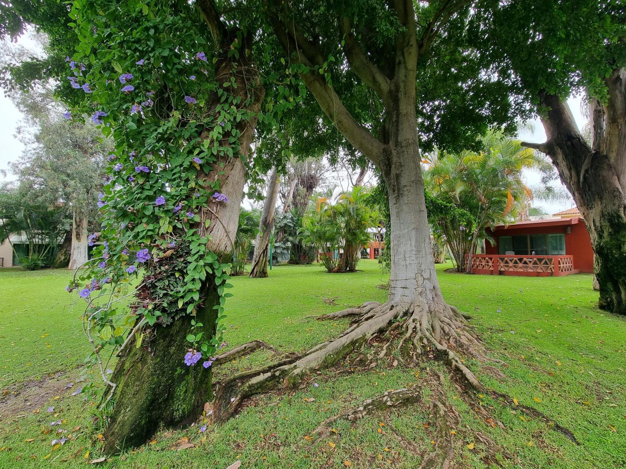 Real De Chapala Otel Ajijic Dış mekan fotoğraf
